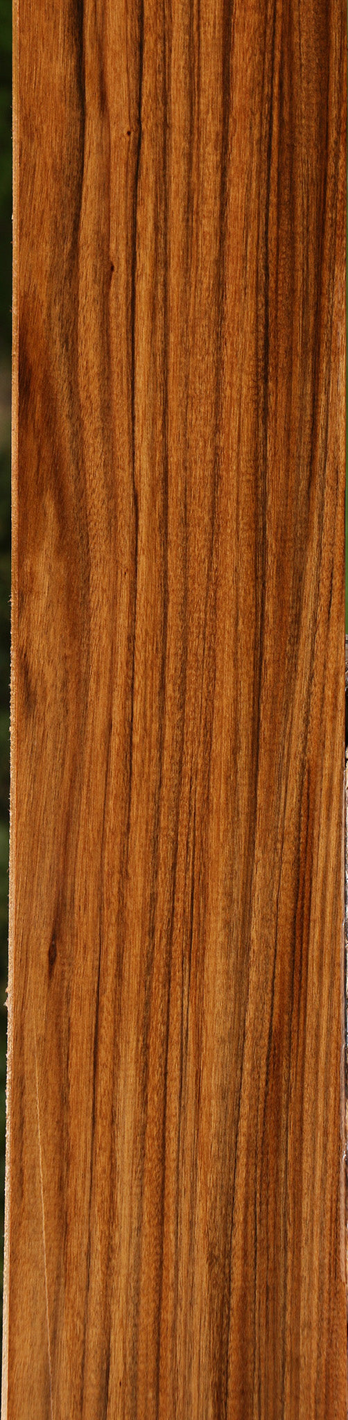 Amazique Lumber