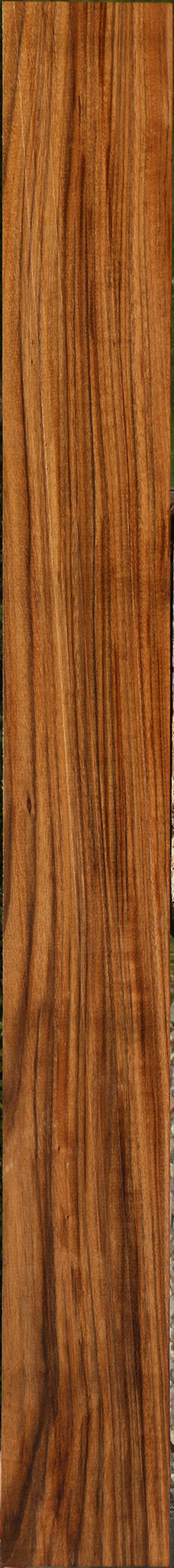 Amazique Lumber