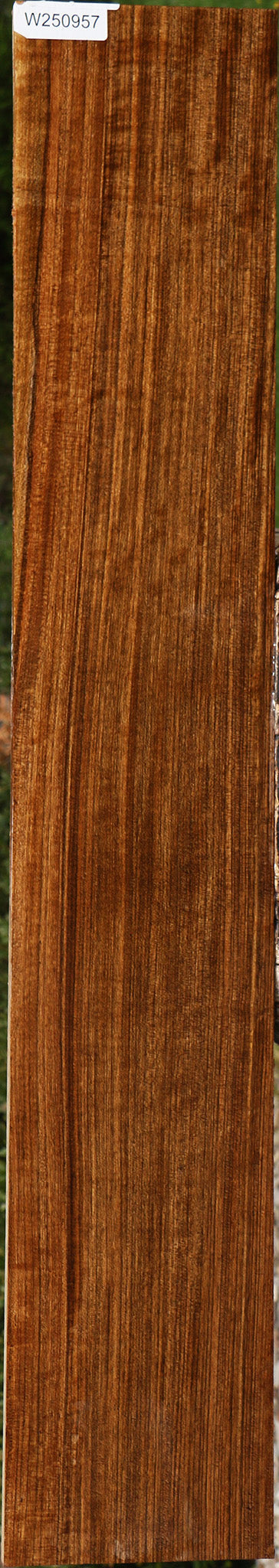 Figured Amazique Lumber