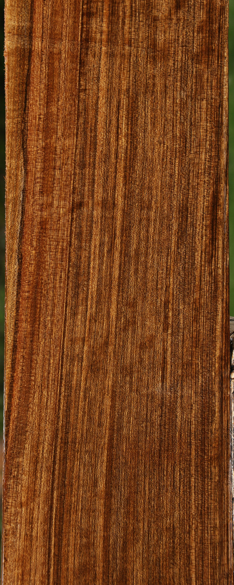 Figured Amazique Lumber