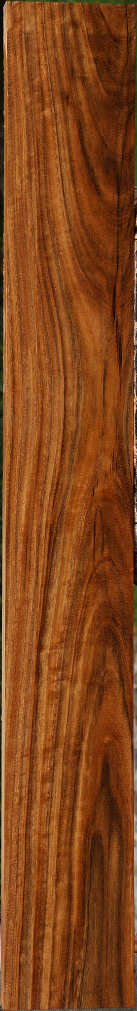 Figured Amazique Lumber