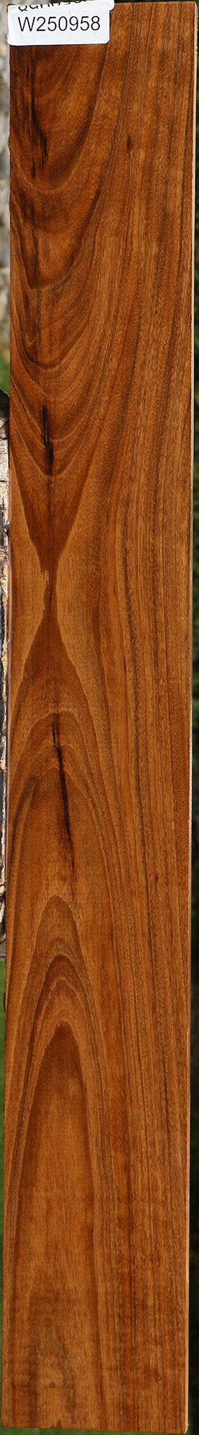 Figured Amazique Lumber
