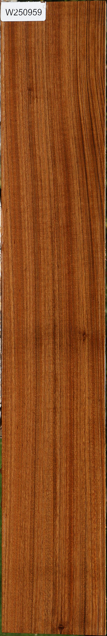 Amazique Lumber