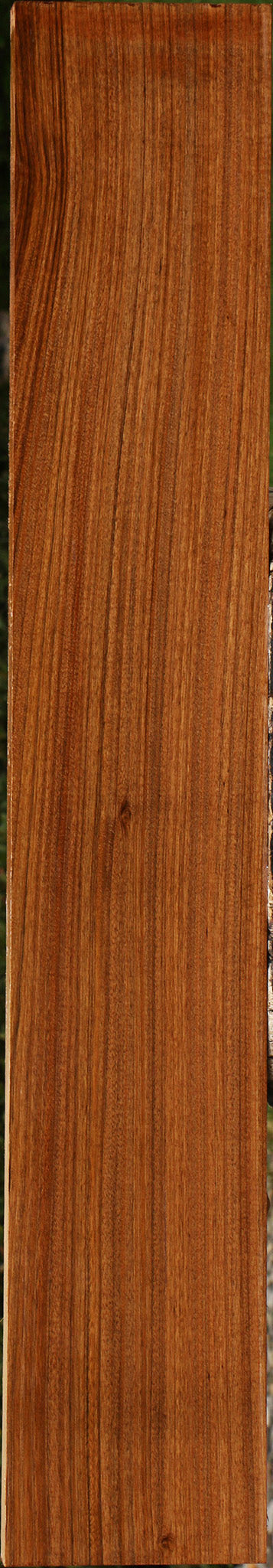 Amazique Lumber