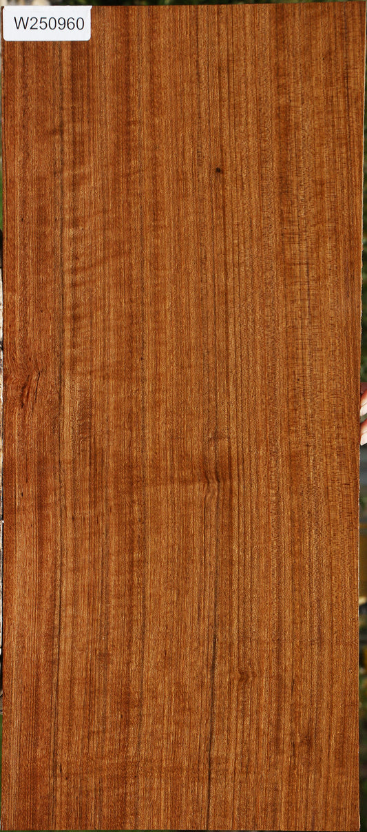 Extra Fancy Quartersawn Amazique Instrument Lumber