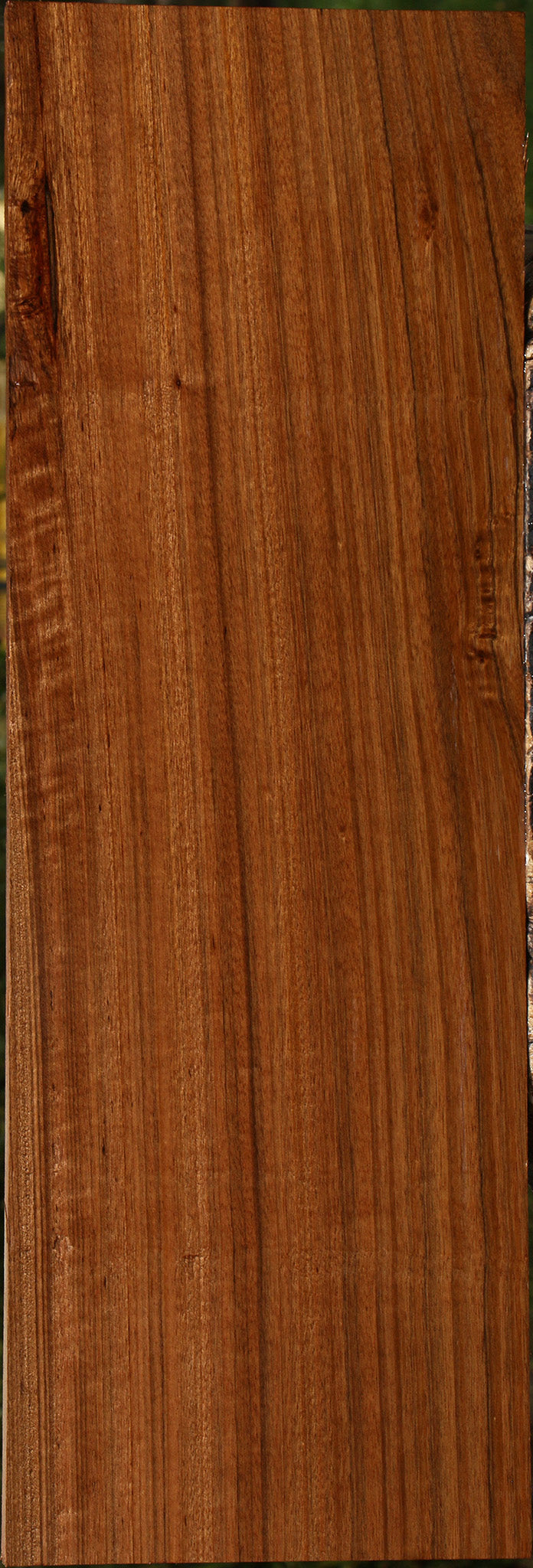Figured Amazique Lumber