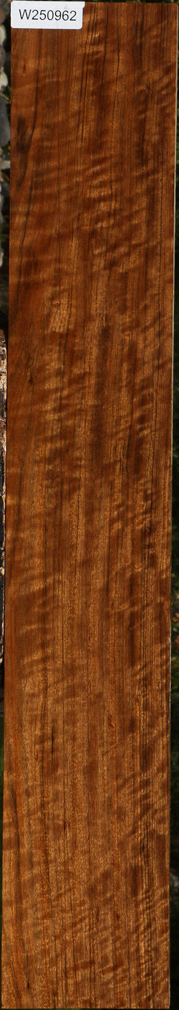 Extra Fancy Amazique Lumber