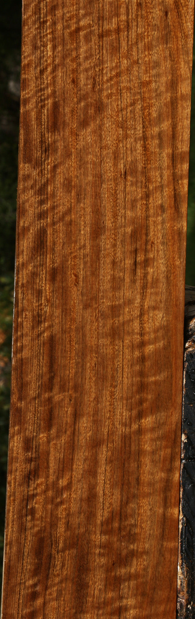 Extra Fancy Amazique Lumber