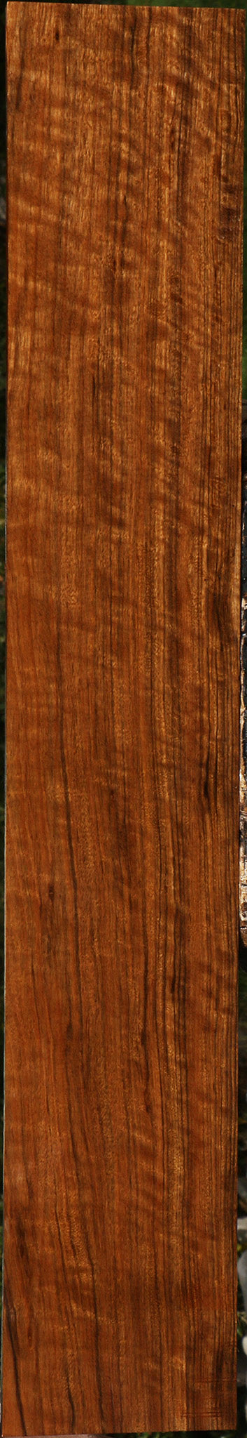 Extra Fancy Amazique Lumber