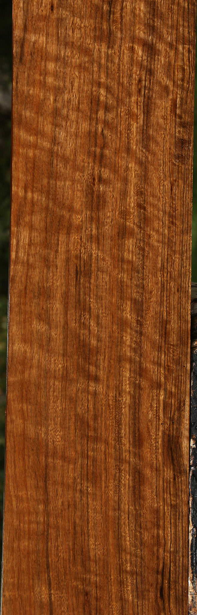 Extra Fancy Amazique Lumber