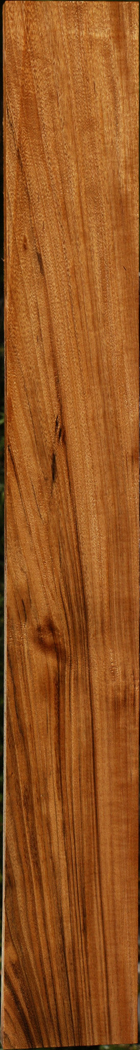 Amazique Lumber