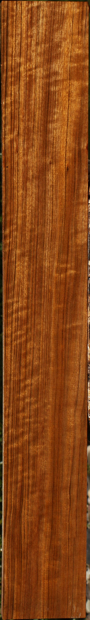 Extra Fancy Amazique Lumber
