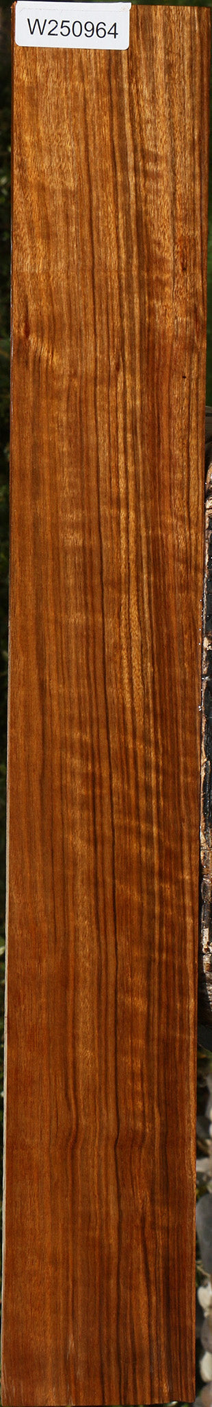 Extra Fancy Amazique Lumber