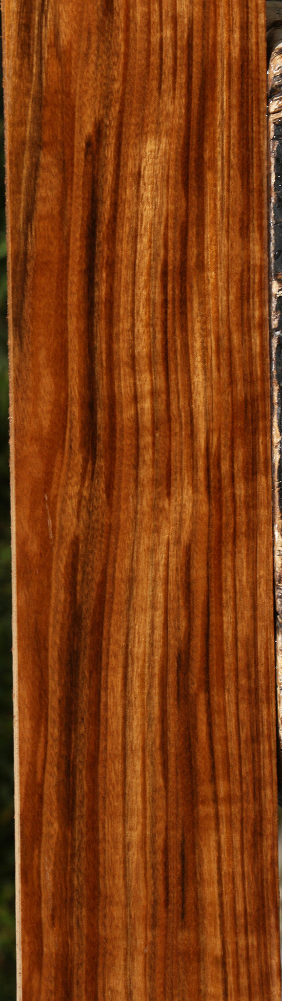 Extra Fancy Amazique Lumber