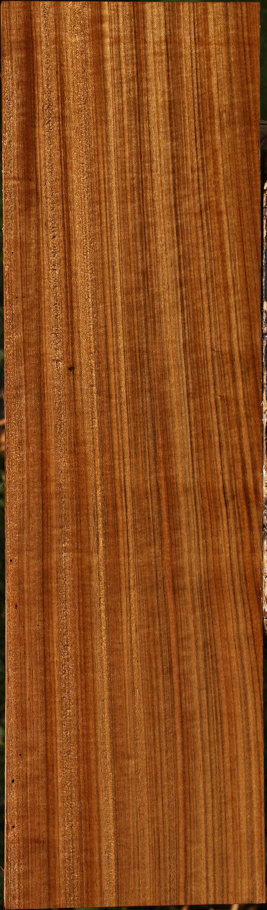Figured Quartersawn Amazique Instrument Lumber