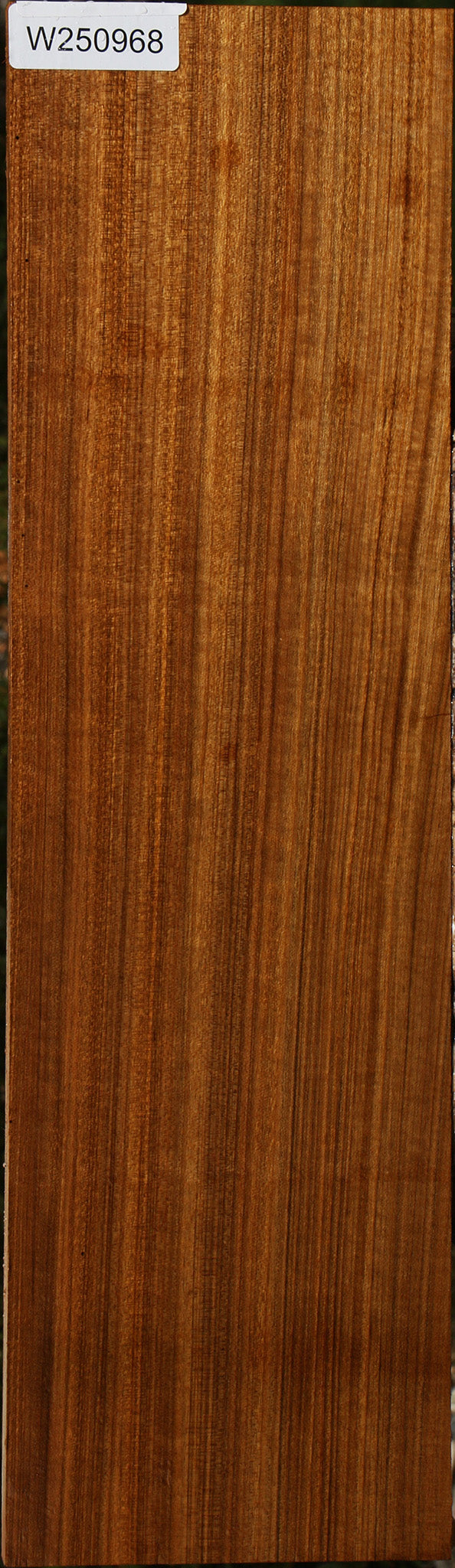 Figured Quartersawn Amazique Instrument Lumber