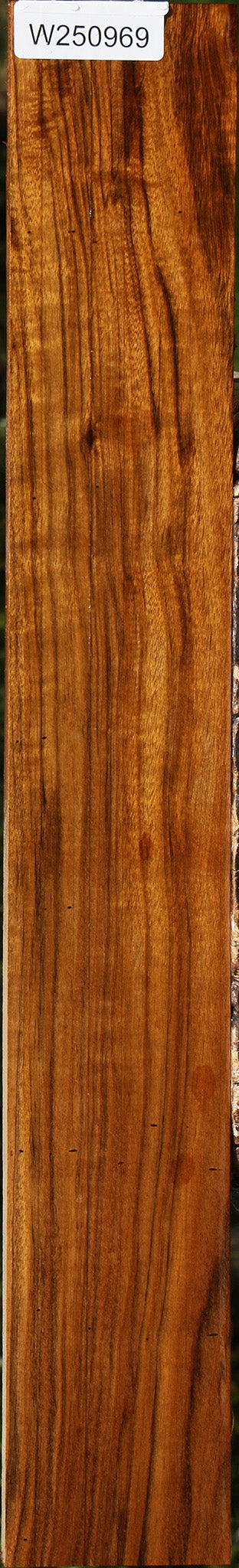 Amazique Lumber
