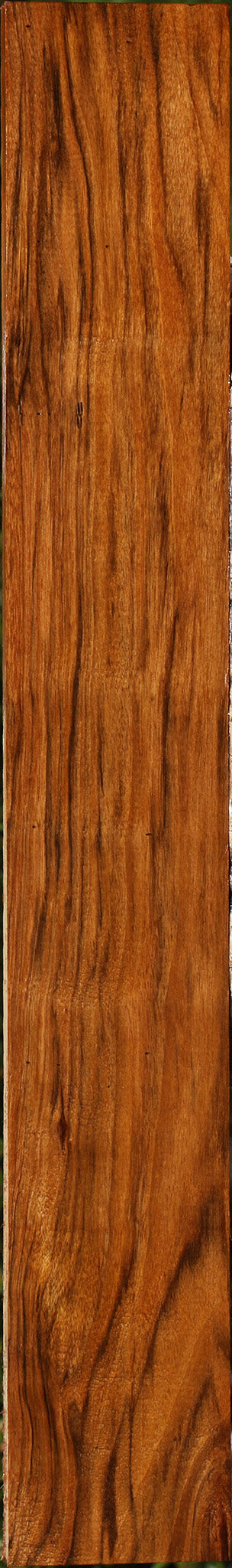 Amazique Lumber