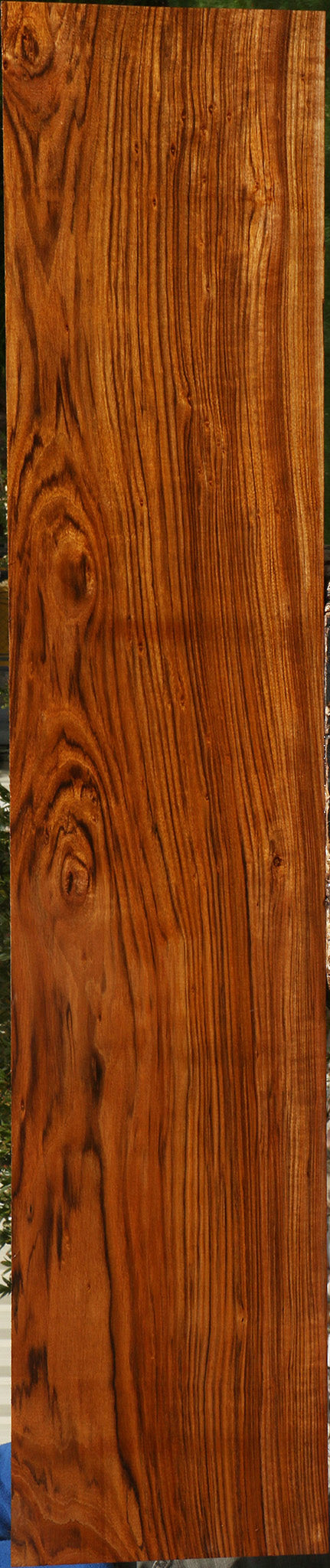 Figured Amazique Lumber