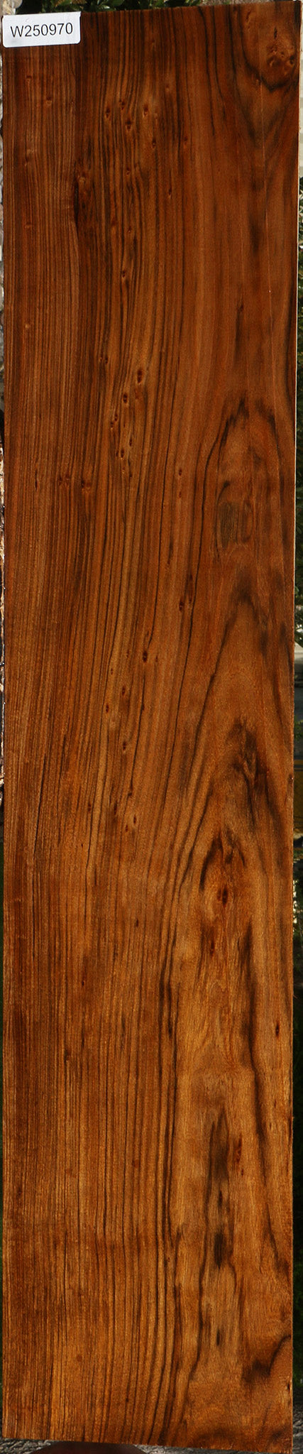 Figured Amazique Lumber