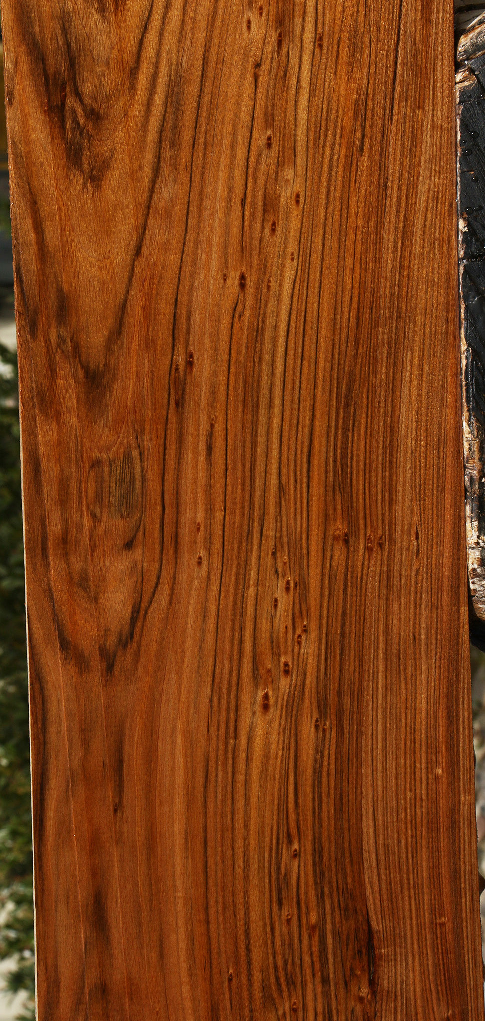 Figured Amazique Lumber