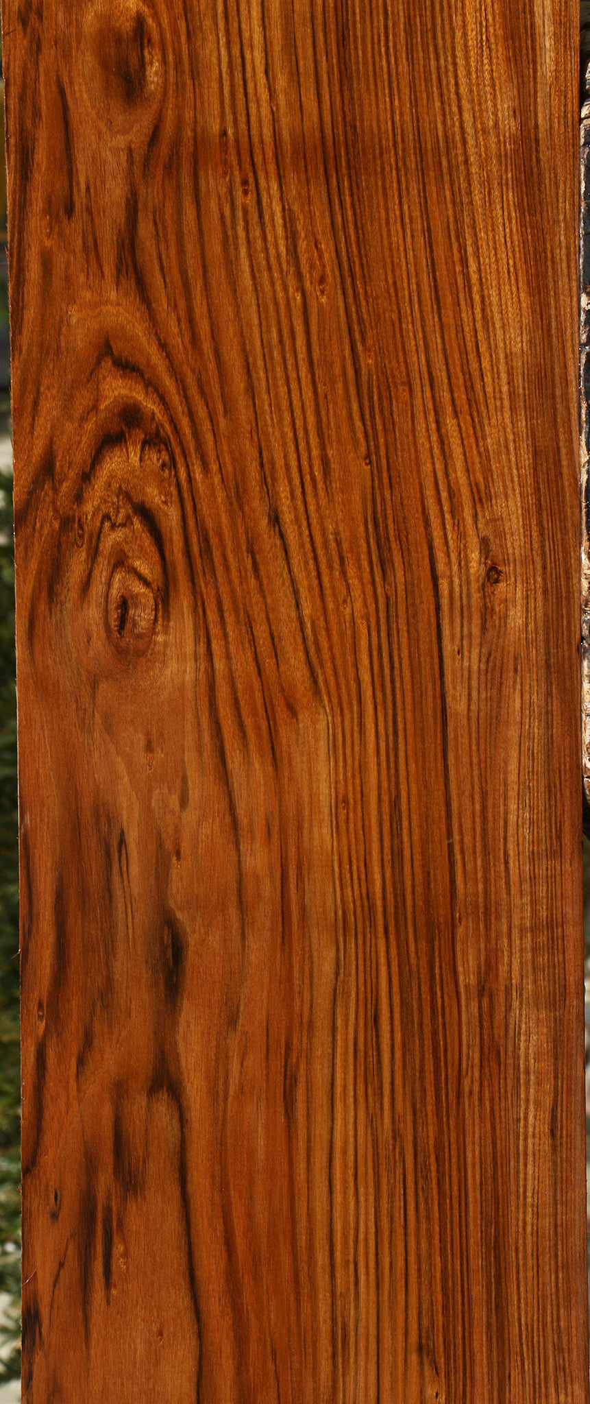 Figured Amazique Lumber
