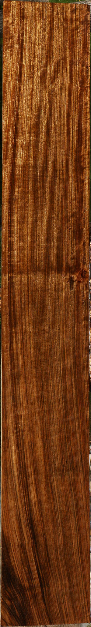 Extra Fancy Quartersawn Amazique Lumber