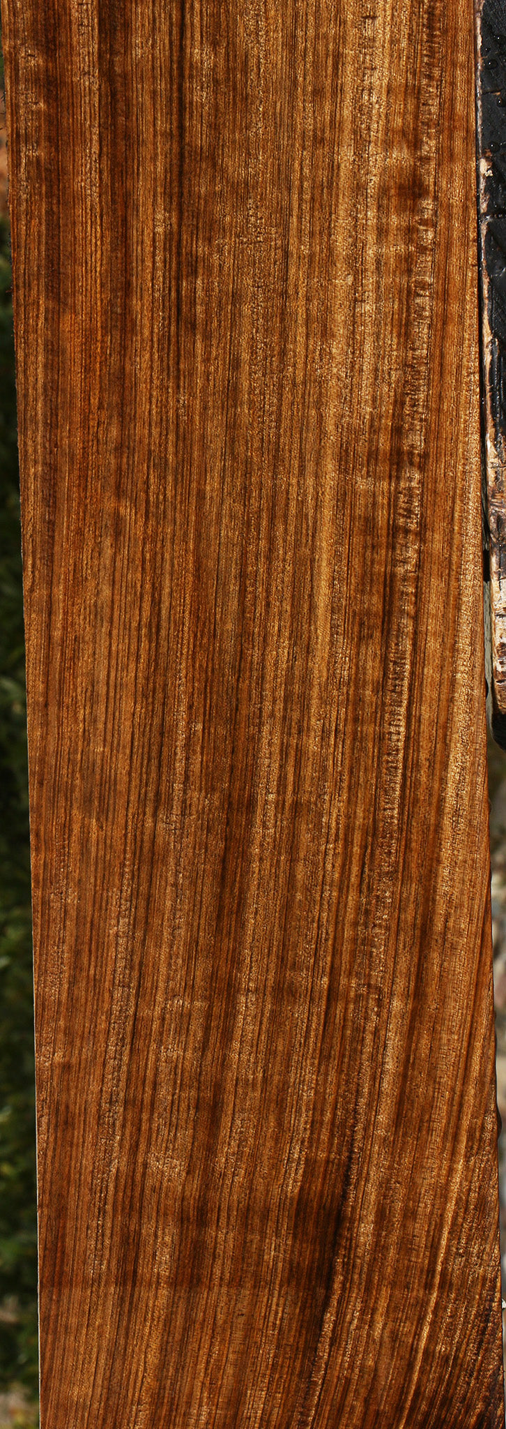 Extra Fancy Quartersawn Amazique Lumber