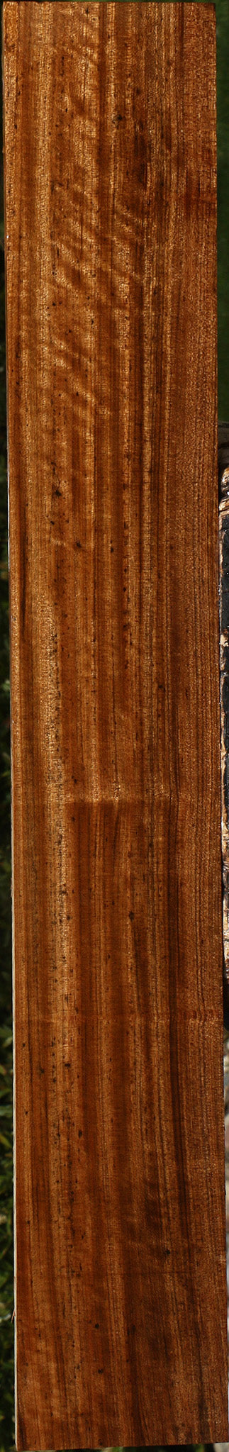 Extra Fancy Quartersawn Amazique Lumber