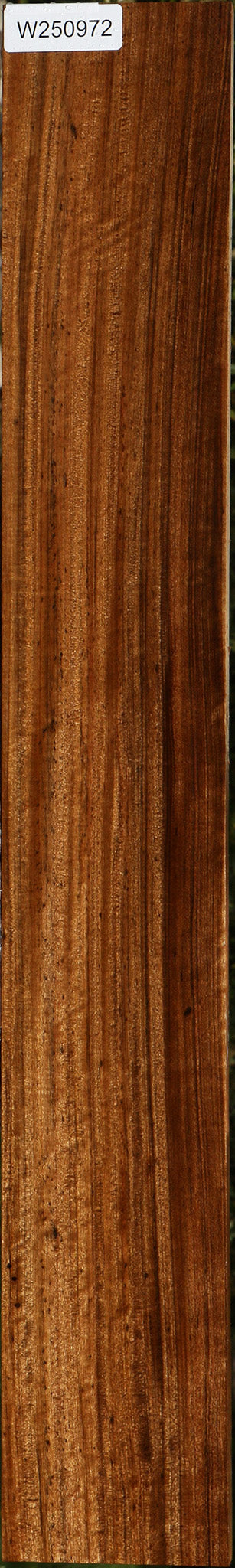 Extra Fancy Quartersawn Amazique Lumber