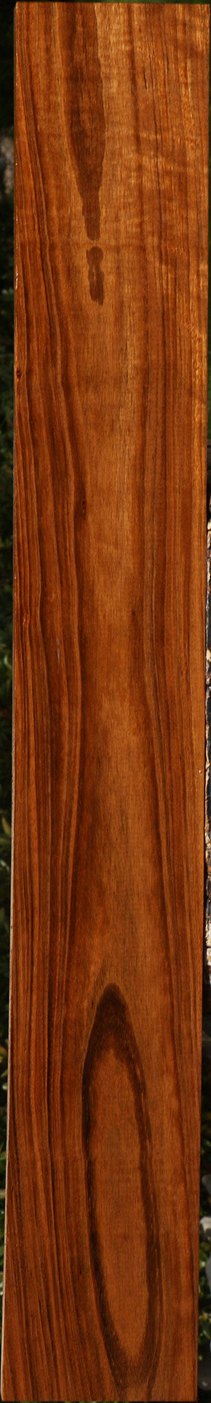 Amazique Lumber