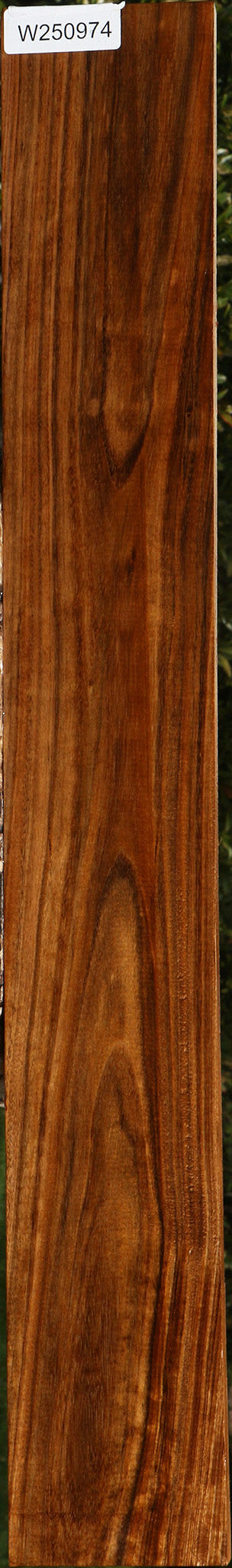 Amazique Lumber
