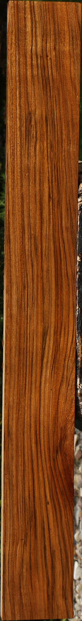 Amazique Lumber