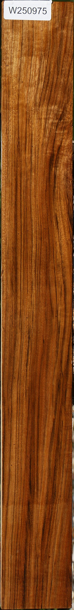 Amazique Lumber