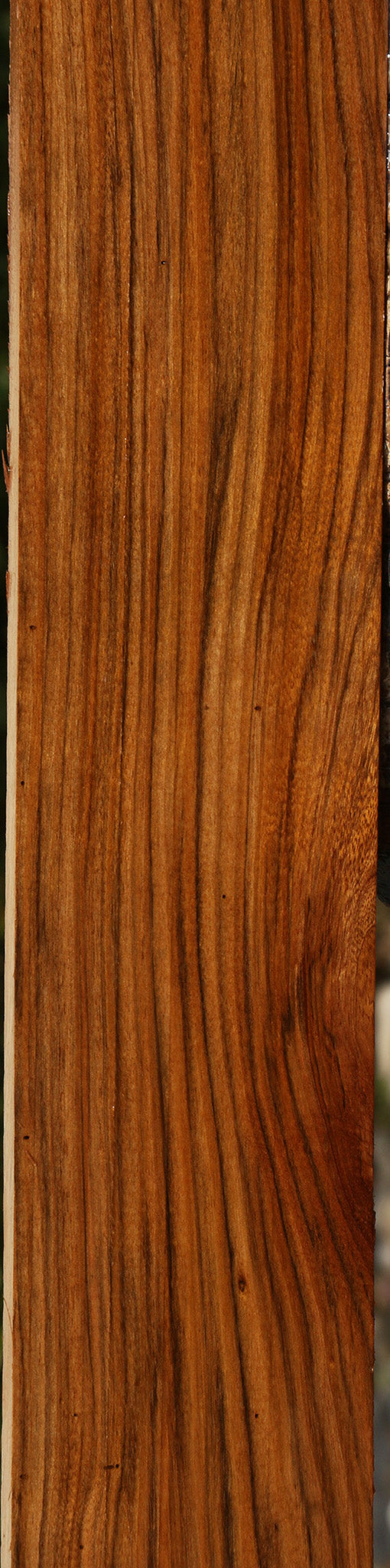 Amazique Lumber
