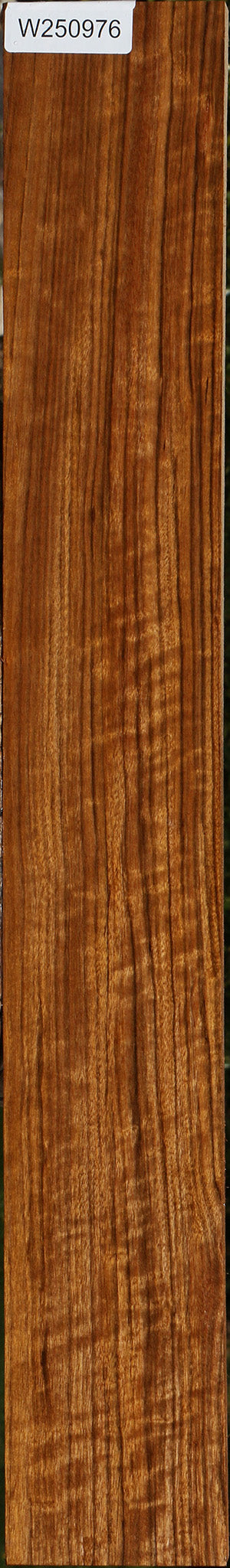 Extra Fancy Amazique Lumber