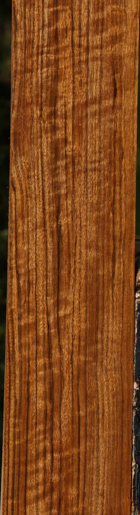 Extra Fancy Amazique Lumber