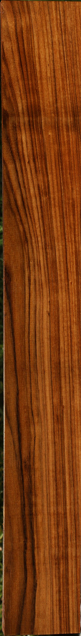 Amazique Lumber