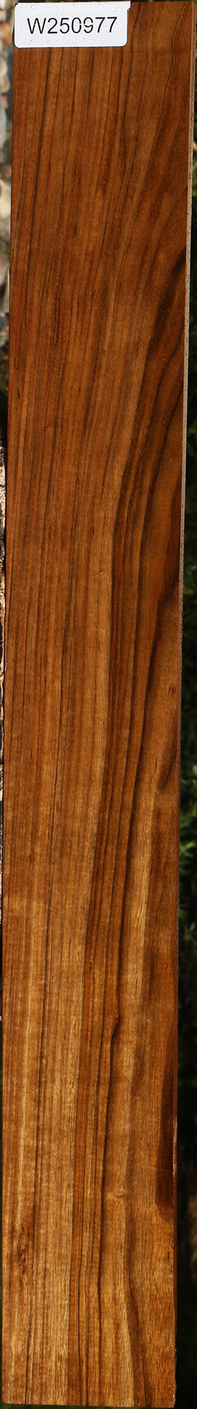 Amazique Lumber