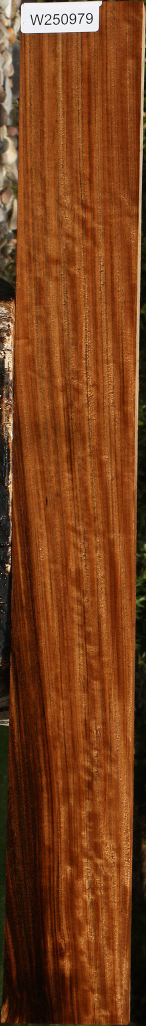 Extra Fancy Amazique Lumber