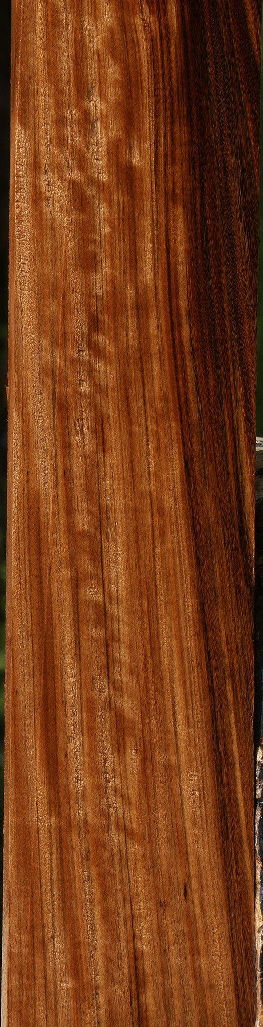 Extra Fancy Amazique Lumber