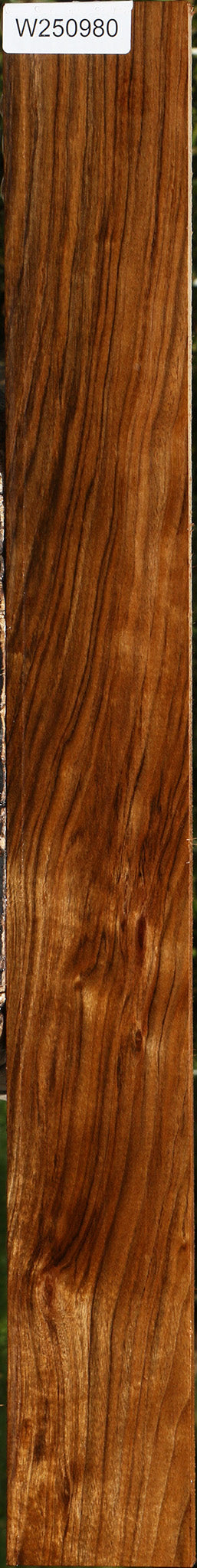 Figured Amazique Lumber