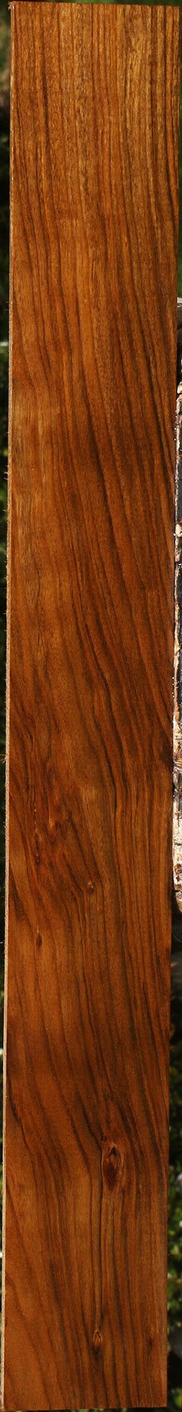 Figured Amazique Lumber