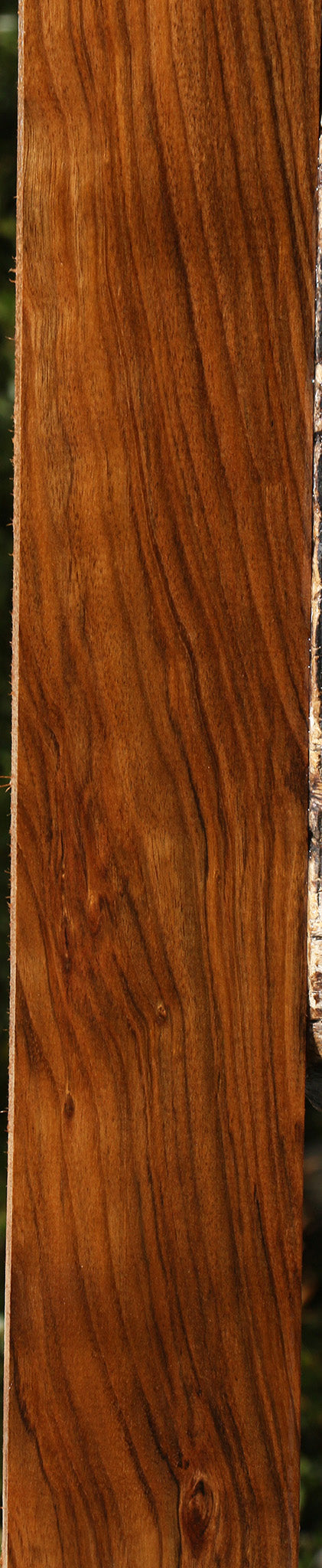 Figured Amazique Lumber