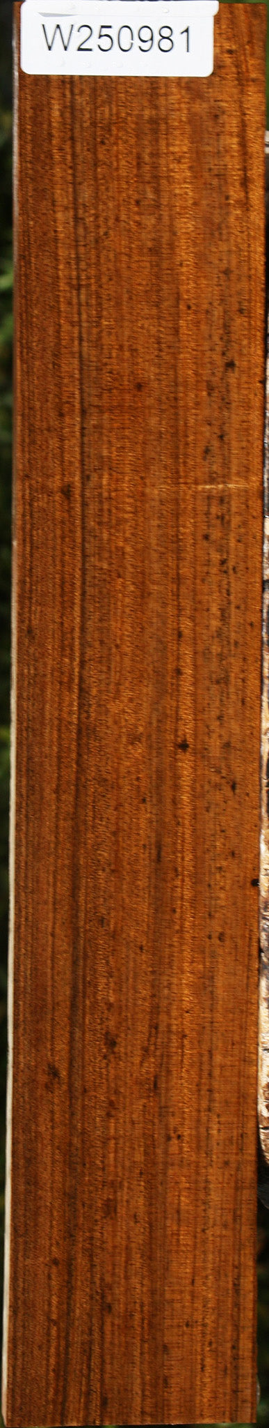 Extra Fancy Amazique Lumber