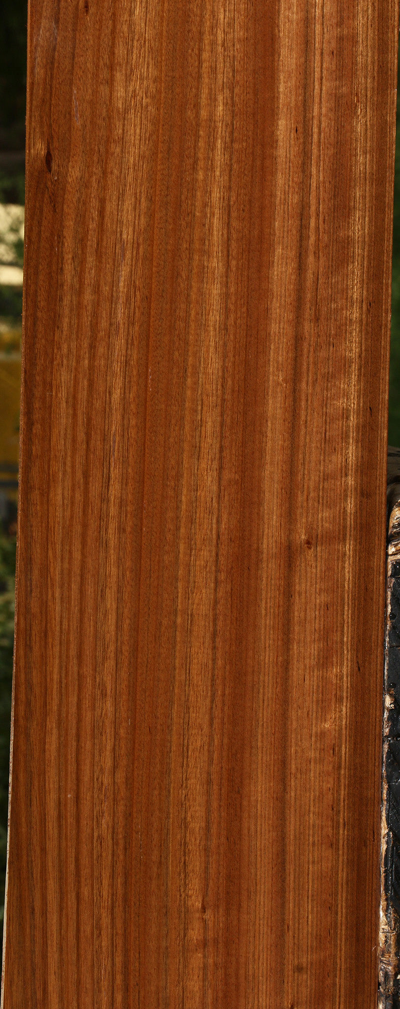 Figured Amazique Lumber