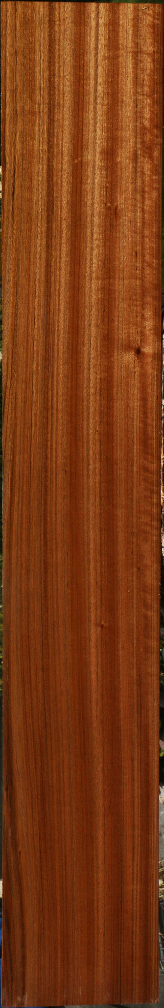 Figured Amazique Lumber