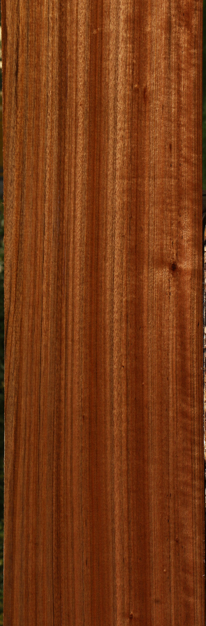 Figured Amazique Lumber