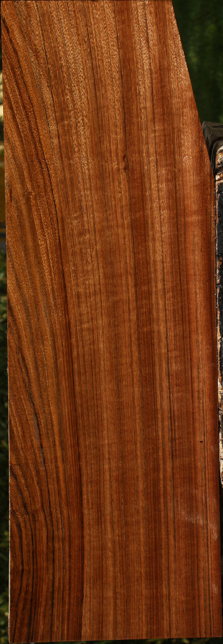 Figured Amazique Lumber