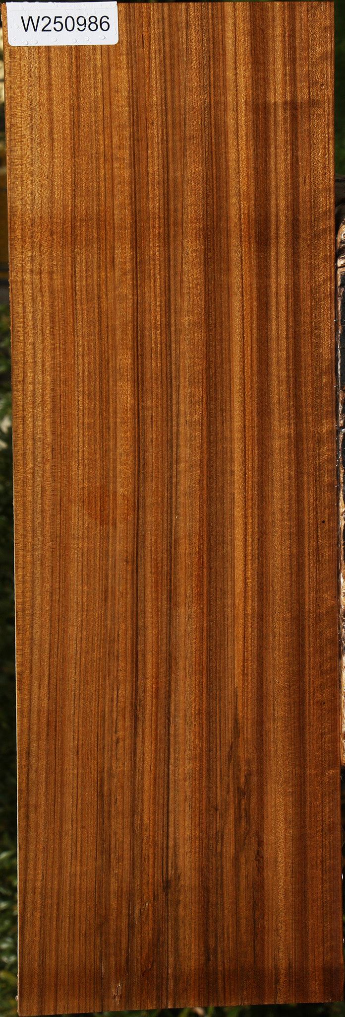 Figured Quartersawn Amazique Instrument Lumber